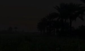 المرشح المطالب بالحقوق الشيخ علي البهيان العامري قائمة 251 تسلسل 18 : شحة المياه…