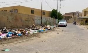 المرشحة عن حركة حقوق المطالبة بالحقوق شكرية محيي محسن السهلاني تسلسل 4 ذي قار : …