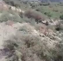 تحديثحادث مقتل الأشقاء الثلاثة في قضاء الجبايش بمحافظة ذي قار أظهر أن القاتل هو …