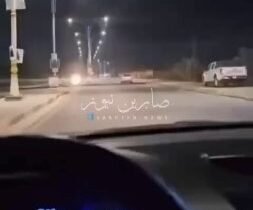 بالفيديو مواطن يوثق مقطع فيديو لظهور عدد من الخنازير البرية في شوارع محافظة السم…