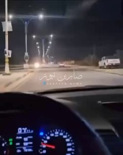 بالفيديو مواطن يوثق مقطع فيديو لظهور عدد من الخنازير البرية في شوارع محافظة السم…