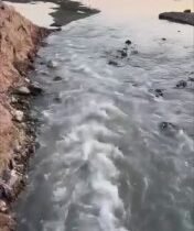 بالفيديو المتداول أنبوب صرف صحي يصب مياهاً ملوثة في نهر دجلة ببغداد…