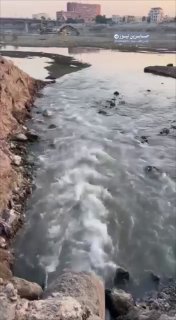بالفيديو المتداول أنبوب صرف صحي يصب مياهاً ملوثة في نهر دجلة ببغداد…
