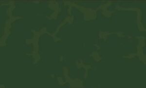 كتائب القسام تنشر: جانب من الإغارة على موقع العدو المستحدث جنوب شرق مدينة خانيون…