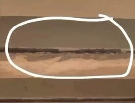 بالفيديو المتداول مواطنون يرصدون صدعاً في جسر منطقة القادسية الجاري إنشاؤه ببغدا…