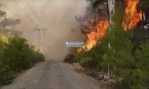 بالفيديو عصابات الجولاني الإرهابية تشعل الحرائق مجدداً في الساحل السوري…