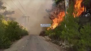 بالفيديو عصابات الجولاني الإرهابية تشعل الحرائق مجدداً في الساحل السوري…