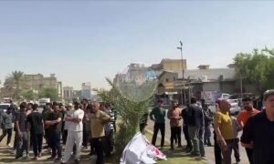 بالفيديو توقف الاستيراد يشعل أسعار الدجاج والبيضومظاهرات غاضبة في منطقة جميلة بب…