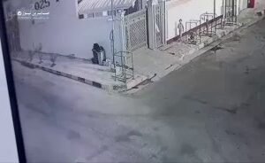 متابعات | بالفيديو الكلاب السائبة تغزو شوارع الرمادي بمحافظة الأنبار…