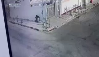 متابعات | بالفيديو الكلاب السائبة تغزو شوارع الرمادي بمحافظة الأنبار…