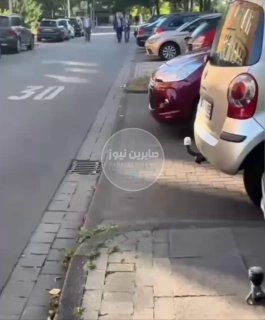 بالفيديو الجالية الكردية في ألمانيا تهاجم أعضاء من حزب القجقجي البارزاني وتلاحقه…