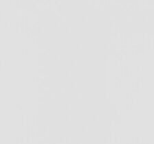 مؤتمر “فلسطين في وجدان الإنسانية”و حفل توقيع كتاب “الاستفتاء العام في فلسطين” يت…