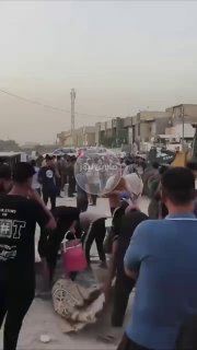 متابعات | بالفيديو إزالة أكبر سوق شعبي في محافظة النجف الأشرف…