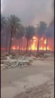 بالفيديو حريق يلتهم بساتين واسعة في منطقة الدورة بالعاصمة بغداد تصاعد عمود الدخا…