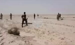 بالفيديو | الجمهورية الإسلامية الإيرانية القوات البرية للحرس الثوري الايراني الا…