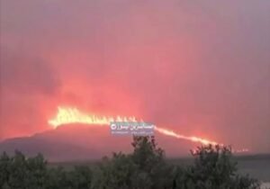 بالفيديو تركيا تحترق ،،، حريق غابات خارج نطاق السيطرة ينتشر بسرعة في ولاية جناق…