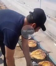 الكرم الحسيني بلا حدود مشاهد لا تراها إلا في العراق طن سمچ غدة الزوار…