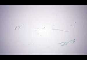 بيان القوات المسلحة اليمنية بشأن تنفيذ أربع عمليات عسكرية استهدفت أربعة أهداف لل…