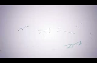 بيان القوات المسلحة اليمنية بشأن تنفيذ أربع عمليات عسكرية استهدفت أربعة أهداف لل…