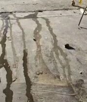 في الفيديو المرفق (وهو نشر سابق) يرتبط بسلسلة التوثيقات اعلاه ويفضح الجريمة والم…