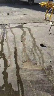 في الفيديو المرفق (وهو نشر سابق) يرتبط بسلسلة التوثيقات اعلاه ويفضح الجريمة والم…