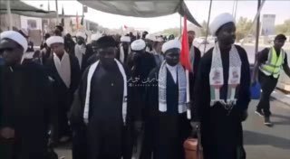 كربلاء المقدسة ملتقى المسلمين من مختلف الجنسياتموكب من دولة نيجيريا سيراً على ال…