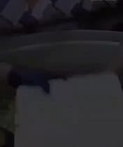 لواء حيدريون للخدمة الحسينية يواصل تقديم الخدمة لزوار اربعينية الإمام الحسين علي…