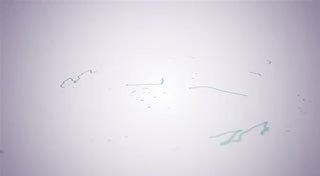 بيان القوات المسلحة اليمنية بشأن تنفيذ عملية عسكرية استهدفت مطار اللد في منطقة ي…