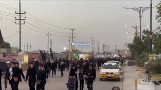 الزيارة الاربعينية | بالفيديو مسيرة العشق الحسيني من سوق الشيوخ بمحافظة ذي قار ن…