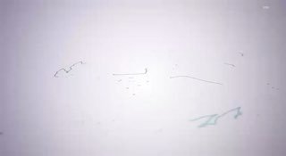 بيان القوات المسلحة اليمنية بشأن استهداف مطار اللد بصاروخ باليستي فرط صوتي نوع …