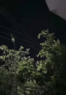 بالفيديو إطلاق نار متواصل في قضاء خبات قرب قرية خورشيد هركي بمحافظة أربيل شمالي …