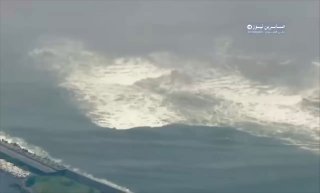 بالفيديو جُرفت ما لا يقل عن 4 حيتان إلى الساحل في اليابان عقب موجات تسونامي اعلا…