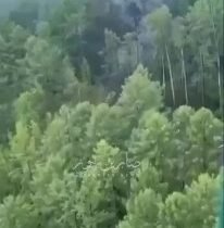 الطوارئ الروسية: لا ناجين في حادثة الطائرة المنكوبة بمقاطعة أمور ⁧ تحديث   العثو…