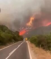 متابعات | بالفيديو قتلى ومفقودون جراء حرائق هائلة بالقرب من مدينة إسكي شهير بوسط…