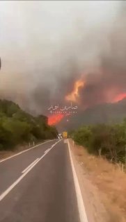 متابعات | بالفيديو قتلى ومفقودون جراء حرائق هائلة بالقرب من مدينة إسكي شهير بوسط…