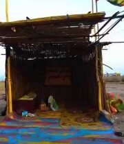 الزيارة الاربعينية كأنهم يَعرفون الطريق قبل أن يولدوا،يمشون إليه بالفطرة،كأنَّ ا…