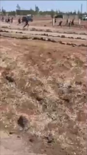 لحظة فرار عصابات الجولاني اثر عدوان صهيوني بغارة تحذيرية على ريف السويداء. طيران…