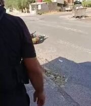 سوريا المحتلة: جانب من الاشتباكات و المعارك بين العشائر التابعة لعصابات الجولاني…