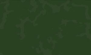 كتائب القسام : ضمن سلسلة عمليات “حجارة داود”مشاهد من استهداف جنود وآليات العدو ف…