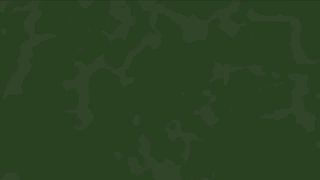 كتائب القسام : ضمن سلسلة عمليات “حجارة داود”مشاهد من استهداف جنود وآليات العدو ف…