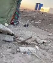 متابعات | بالفيديو اندلاع نزاع عشائري مسلح في ابو الخصيب بمحافظة البصرة واصابة ع…