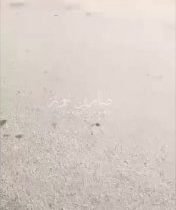 سوريا المحتلة: مجزرة بحق نساء وأطفال دروز على طريق السهوة القديم في السويداء على…