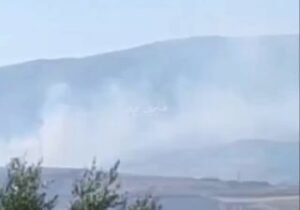 توثيقات تظهر قيام دروز الأراضي الفلسطينية المحتلة بحرق الادغال اثناء دخولهم عبر …