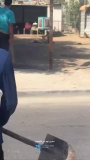 بالفيديو المتداول | بغداداسد يلتهم خروفاً بعد ان هرب من مالكه في منطقة النعيرية …