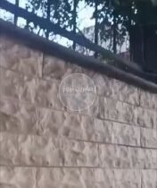 محاصرة منازل المدنيين من قبل عصابات الجولاني الارهابية في مدينة السويداء وسط اشت…