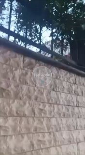 محاصرة منازل المدنيين من قبل عصابات الجولاني الارهابية في مدينة السويداء وسط اشت…