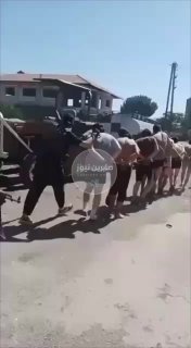 المزيد من اسرى عصابات الجولاني الارهابية في يد الفصائل الدرزية بمحافظة السويداء …