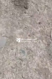 سوري في ظل حكم عصابات الجولاني الارهابية تواصل الاشتباكات منذ ساعات في حي المقوس…